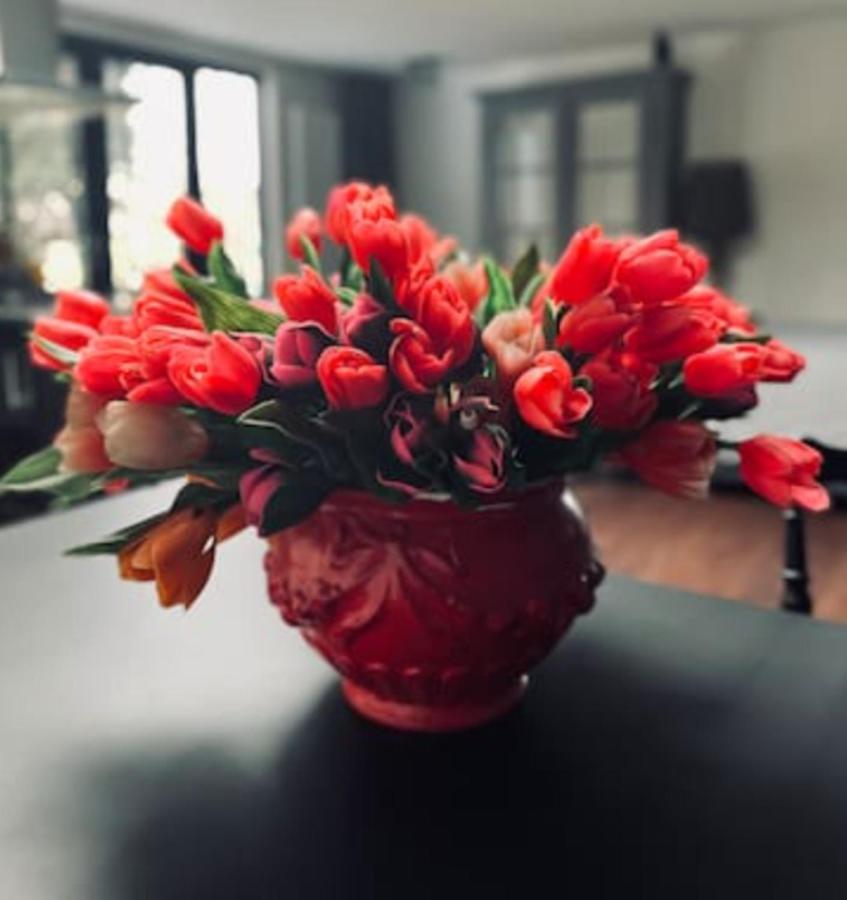 Bed And Breakfast Cherry ザーンダム エクステリア 写真